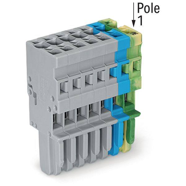 1-conductor female connector CAGE CLAMP® 4 mm² gray/blue/green-yellow image 3