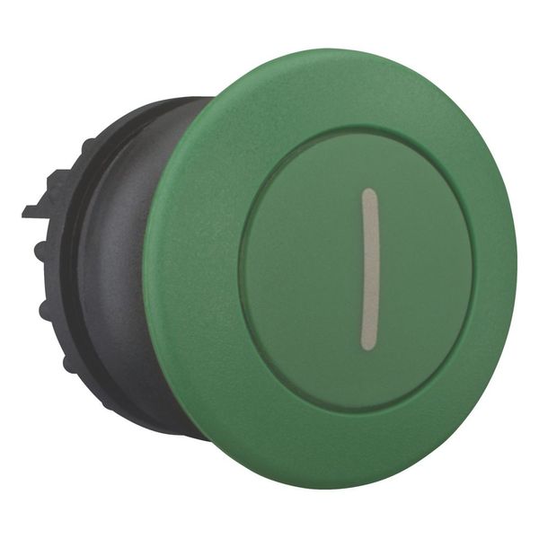 Mushroom actuator, RMQ-Titan, Mushroom, momentary, Mushroom green, green, inscribed, Bezel: black image 10