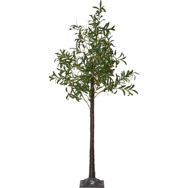 Decorative Tree Olivec image 1