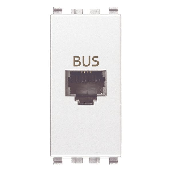 BUS RJ11phone jack white image 1