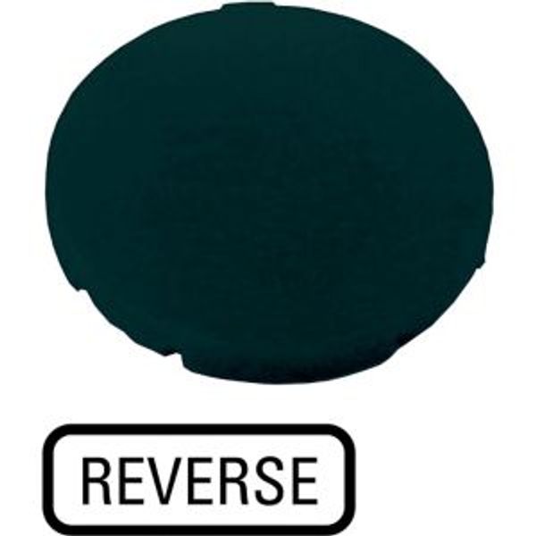 Button plate, flat black, REVERSE image 4