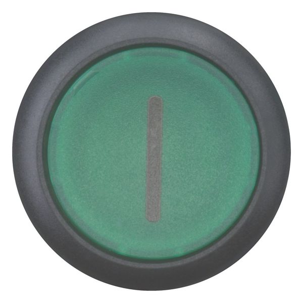 Illuminated pushbutton actuator, RMQ-Titan, Flush, maintained, green, inscribed, Bezel: black image 10