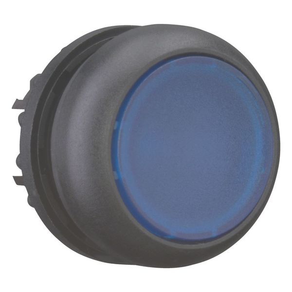 Illuminated pushbutton actuator, RMQ-Titan, Flush, momentary, Blue, Blank, Bezel: black image 6