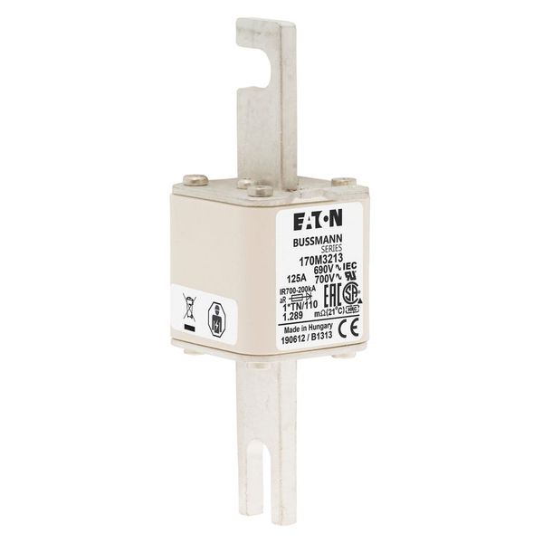 Fuse-link, high speed, 125 A, AC 690 V, compact DIN 1, 45 x 58 x 134 mm, aR, DIN, IEC, single indicator, 80 mm centres image 15