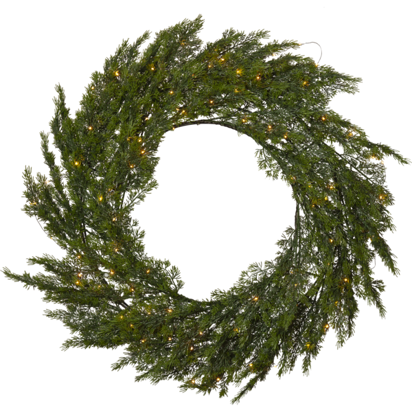 Wreath Thuja image 2