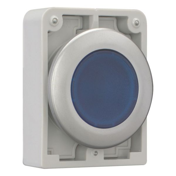 Illuminated pushbutton actuator, RMQ-Titan, Flat, maintained, Blue, Blank, Metal bezel image 13