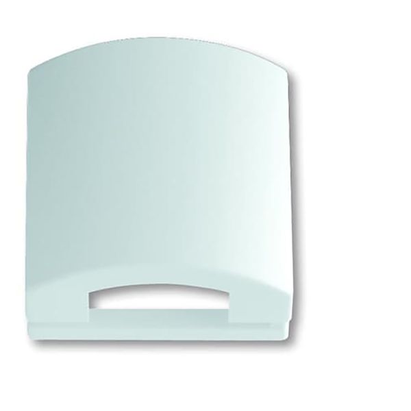 1746-84 CoverPlates (partly incl. Insert) future®, Busch-axcent®, solo®; carat® Studio white image 1