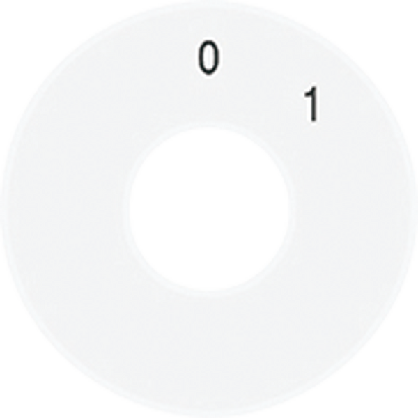 Spare scale disc SKS1101-20WW image 2