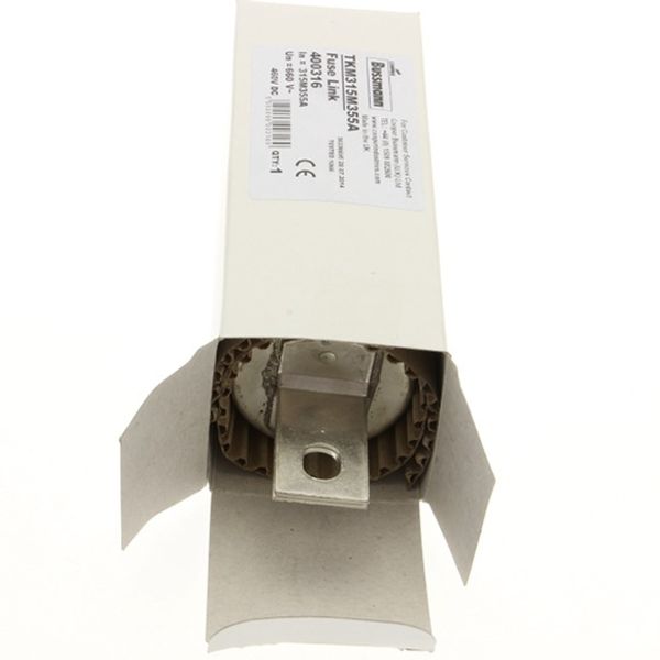 Fuse-link, low voltage, AC 660 V, DC 460 V, BS88, 53 x 160 mm, gM, BS image 1