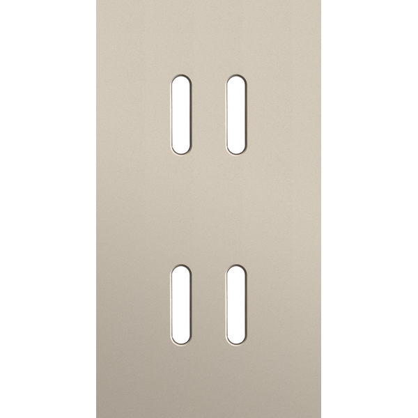 Twofold faceplate, vertical 71 mm centre distance, for double switch f image 1