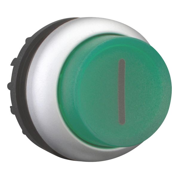 Illuminated pushbutton actuator, RMQ-Titan, Extended, maintained, green, inscribed, Bezel: titanium image 14