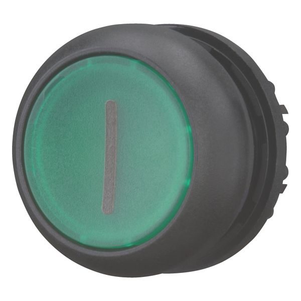 Illuminated pushbutton actuator, RMQ-Titan, Flush, maintained, green, inscribed, Bezel: black image 2