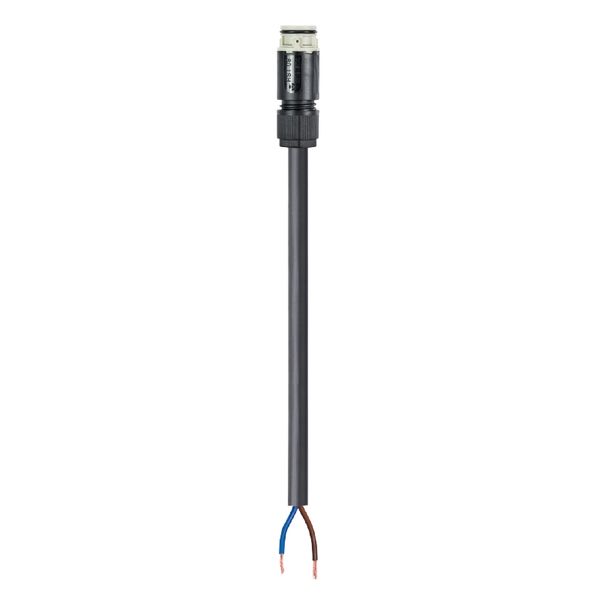 CABLE ASSEMBLY RST08I3/2KSB- 75 L 20KG image 1