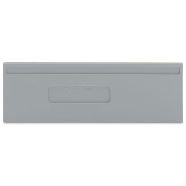 Separator plate 2 mm thick oversized gray image 3