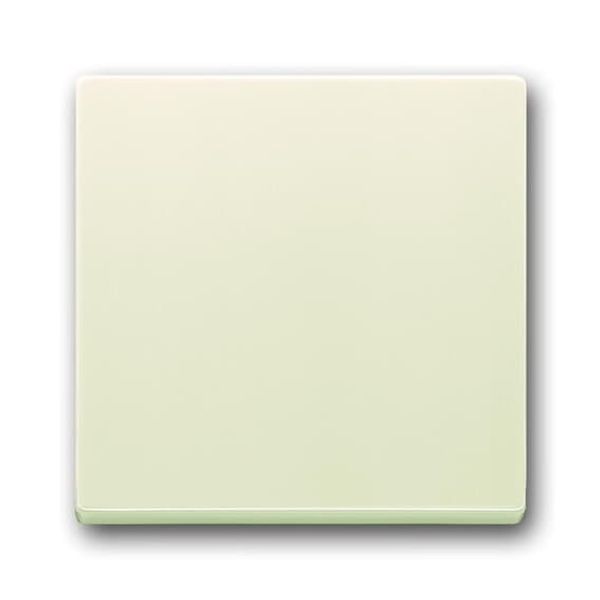 1789 LI-84-500 CoverPlates (partly incl. Insert) future®, Busch-axcent®, solo®; carat® Studio white image 1