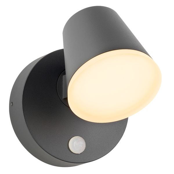 Zeta LED Round Single PIR 12,5W 800lm 3000K IP54 anthracite image 1