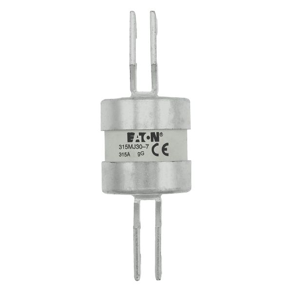 Utility fuse-link, LV, 315 A, AC 415 V, BS88/J, 38 x 110 mm, gL/gG, BS, 82mm fixing centres image 34