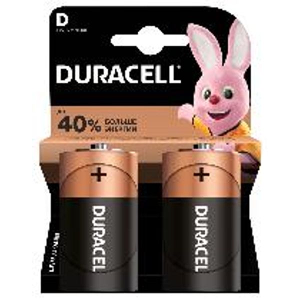 DURACELL Basic MN1300 D BL2 image 1