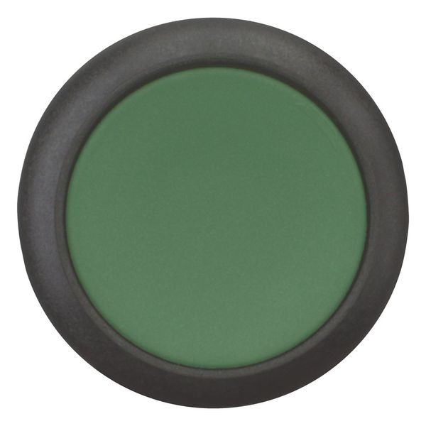 Pushbutton, Flat, maintained, 2 N/O, Screw connection, green, Blank, Bezel: black image 3