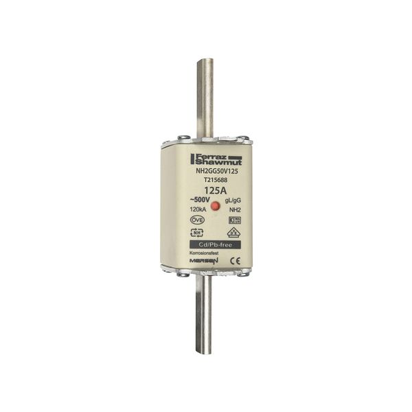 Fuse-link NH2 gG 500VAC 125A live tags Double indicator image 1