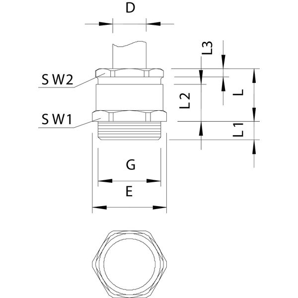 162 MS PG36 Cable gland with cutting ring PG36 image 2