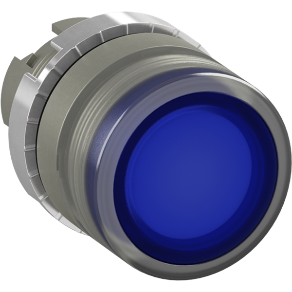 P9MPLBGD Pushbutton image 3