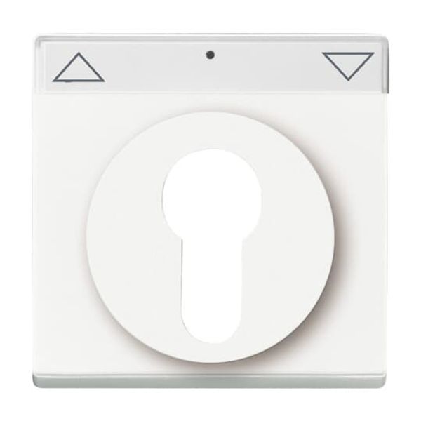 1800-84 CoverPlates (partly incl. Insert) future®, Busch-axcent®, solo®; carat® Studio white image 4