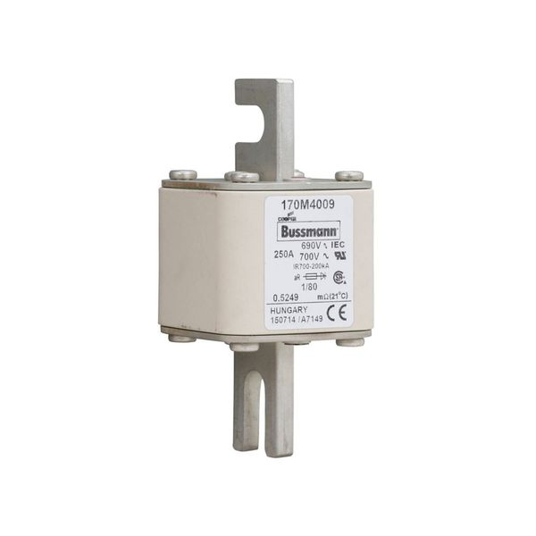 Fuse-link, high speed, 250 A, AC 690 V, DIN 1, 53 x 53 x 108 mm, aR, DIN, IEC, single indicator image 9