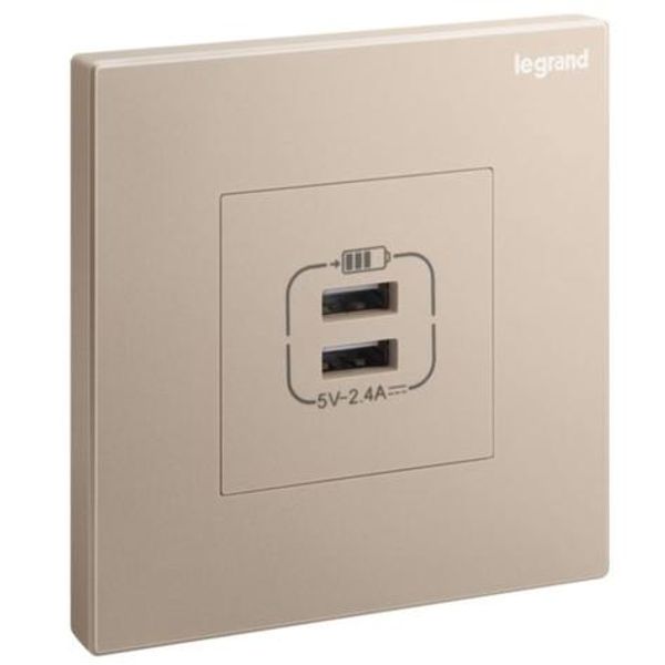 Galion - 1 gang double USB 2,4A type-A USB chargers - Rose Gold image 1