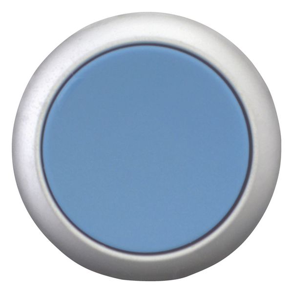 Release pushbutton, blue, Bezel: titanium image 9