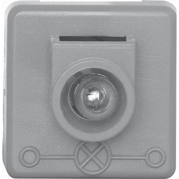 Bulb 24V Walk.grey image 1