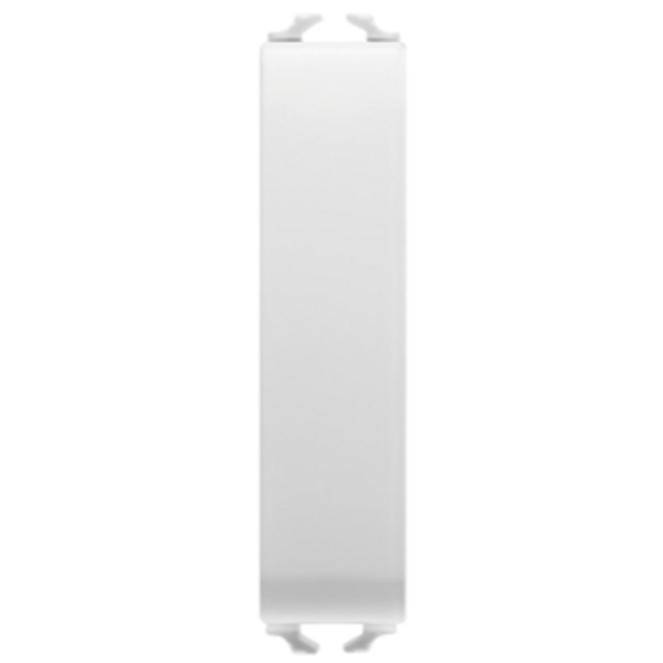 BLANKING MODULE - 1/2 MODULE - GLOSSY WHITE - CHORUSMART image 1