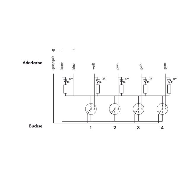 M12 sensor/actuator box 4-way 4-pole image 3