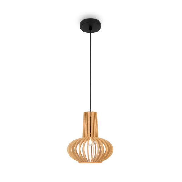 Modern Roots Pendant lamp Black image 1