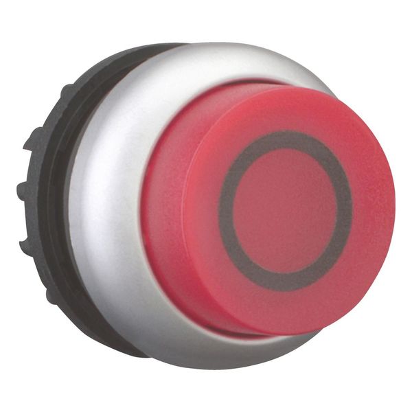 Illuminated pushbutton actuator, RMQ-Titan, Extended, momentary, red, inscribed, Bezel: titanium image 7