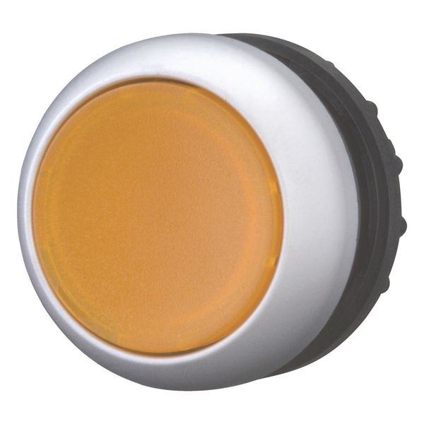 Illuminated pushbutton actuator, RMQ-Titan, Flush, maintained, orange, Blank, Bezel: titanium image 5