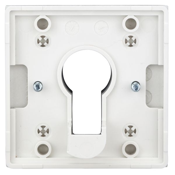 Cover for key switch, silver image 1