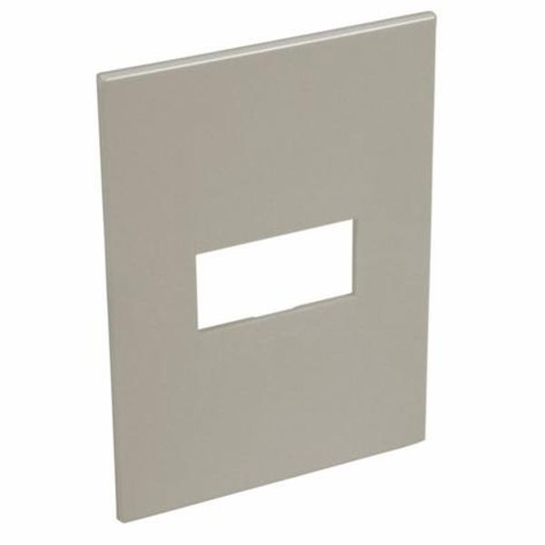 American and South African standard plate Arteor square version 1 horizontal modules for 2'' x 4'' box - champagne image 1