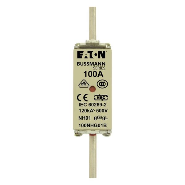 Fuse-link, LV, 100 A, AC 500 V, NH01, gL/gG, IEC, dual indicator, live gripping lugs image 12