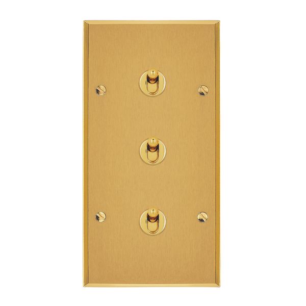 Art d'Arnould universe Memory two two-way switch or lever switch 10A - brushed gold image 1