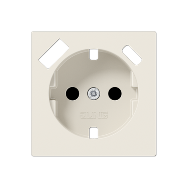 Centre plate SCHUKO® sockets A1520-15CAPL image 1