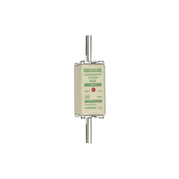 Fuse-link NH0 aM 690VAC 80A live tags Double indicator image 2