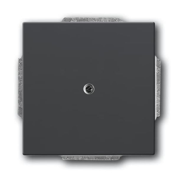 1750-885 CoverPlates (partly incl. Insert) future®, Busch-axcent®, carat® black matt image 2