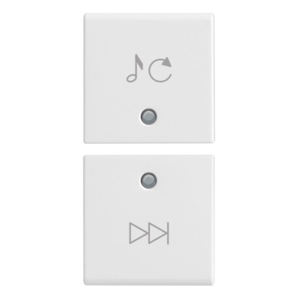 2 half buttons 1M track/source white image 1