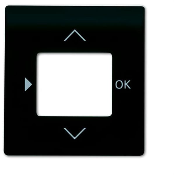 6435-775 CoverPlates (partly incl. Insert) carat® black matt image 1