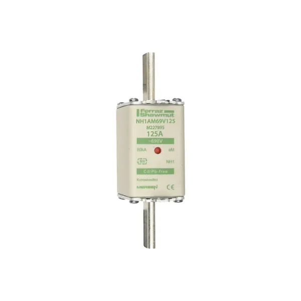 Fuse-link NH1 aM 690VAC 125A live tags Double indicator image 2