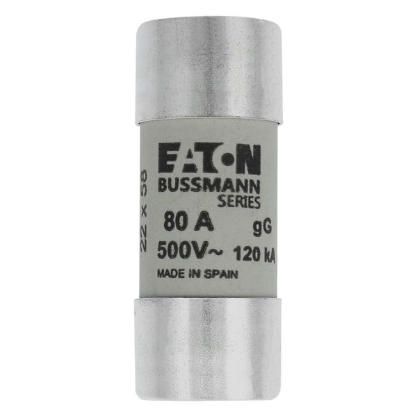 Fuse-link, LV, 80 A, AC 500 V, 22 x 58 mm, gL/gG, IEC image 6