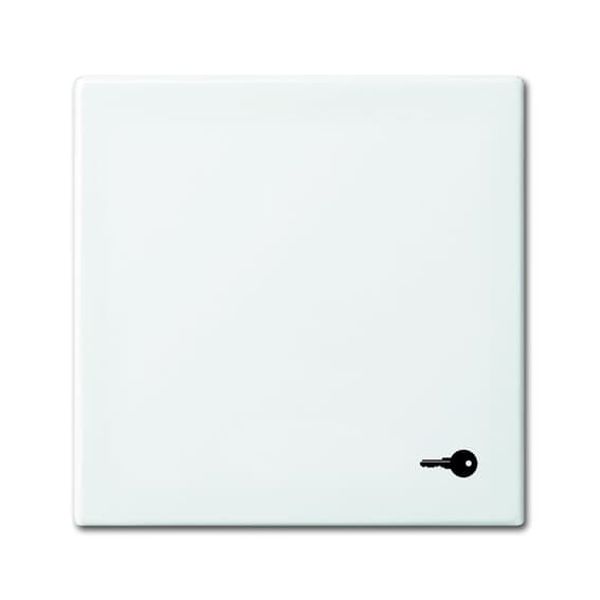 2520 TR-914 CoverPlates (partly incl. Insert) Busch-balance® SI Alpine white image 2