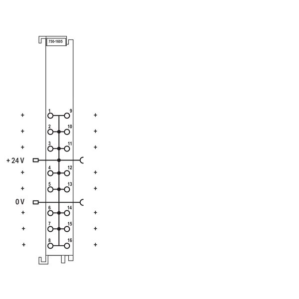 Potential Distribution 16-way, 24 V - image 5