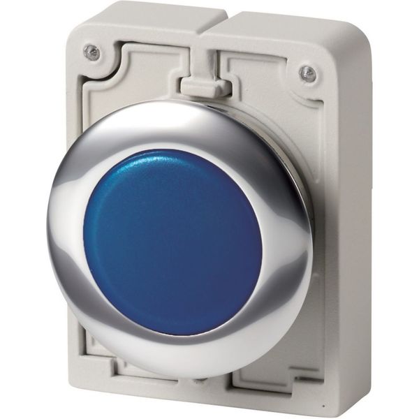 Indicator light, RMQ-Titan, Flat, Blue, Metal bezel image 5